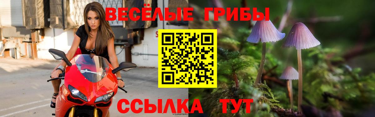 Псилоцибиновые грибы MAGIC MUSHROOMS Прохладный
